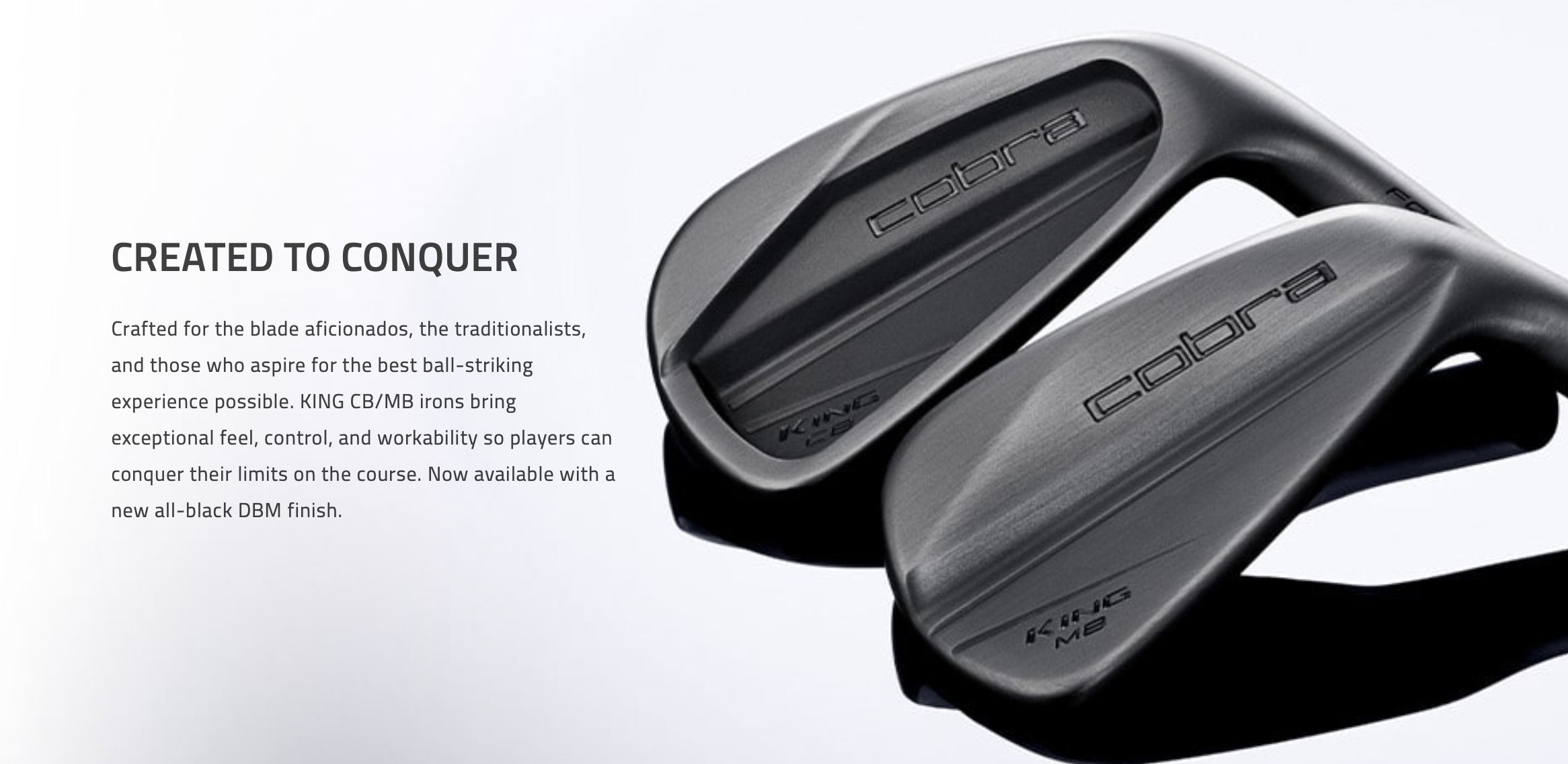 cobra golf fitting- cb mb dennis sales golf.png