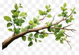 Community Tree