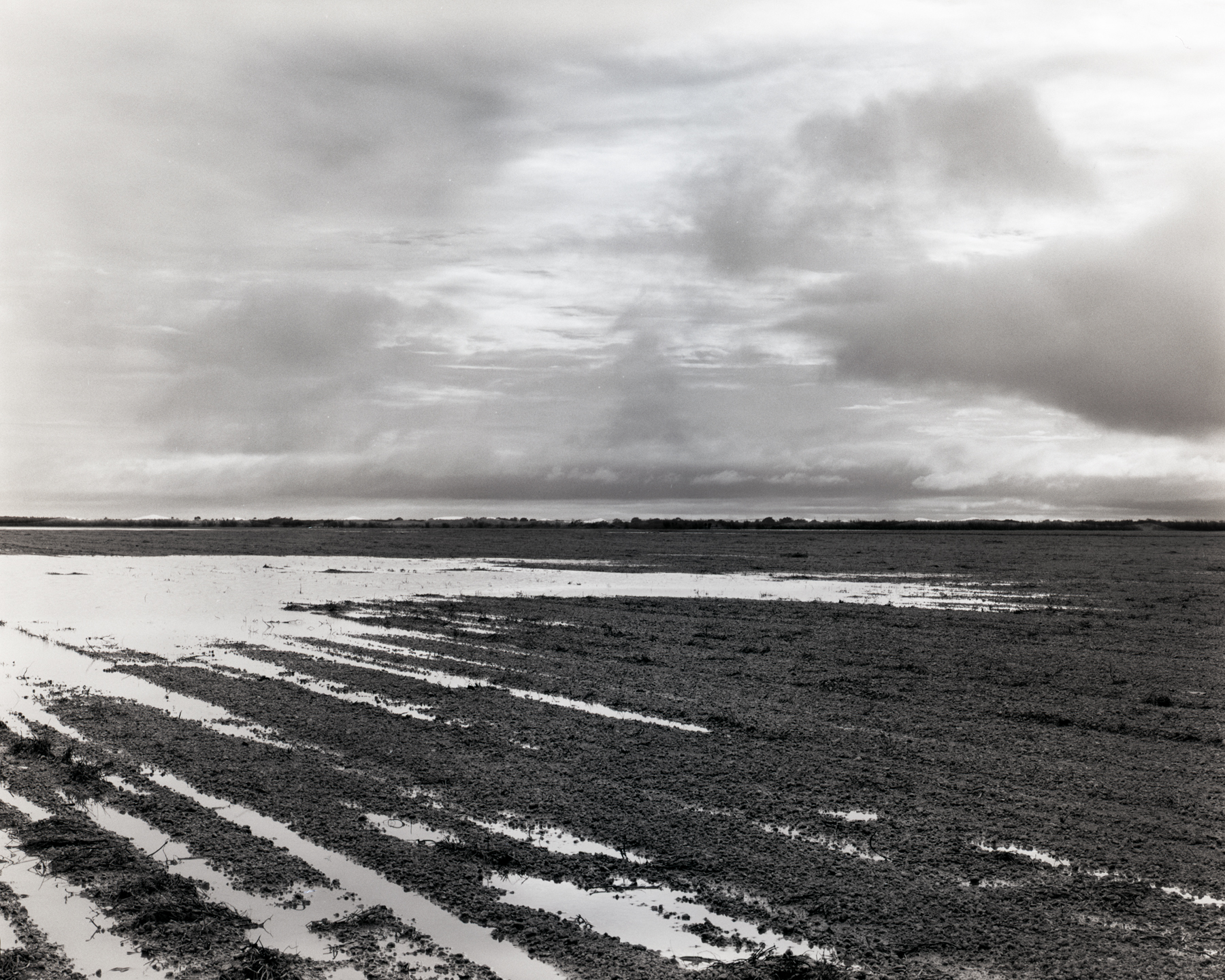 Flooded Redlands, 2015