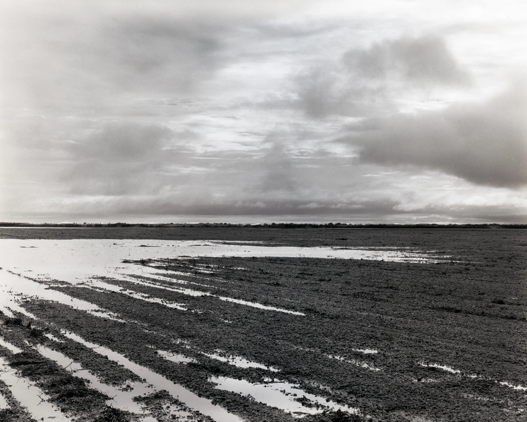 Flooded Redlands, 2015