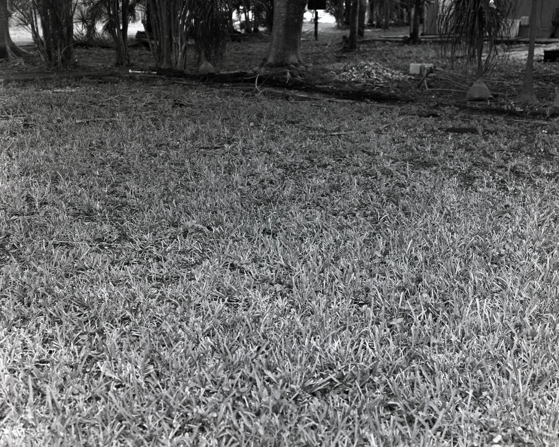 Where We Parked Our House, 2015