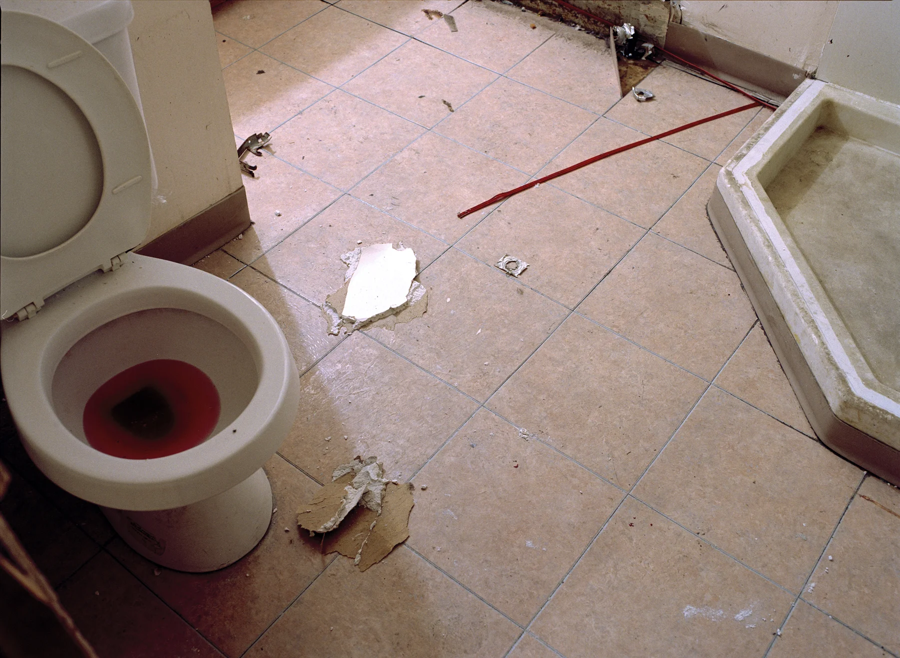 toilet.jpg