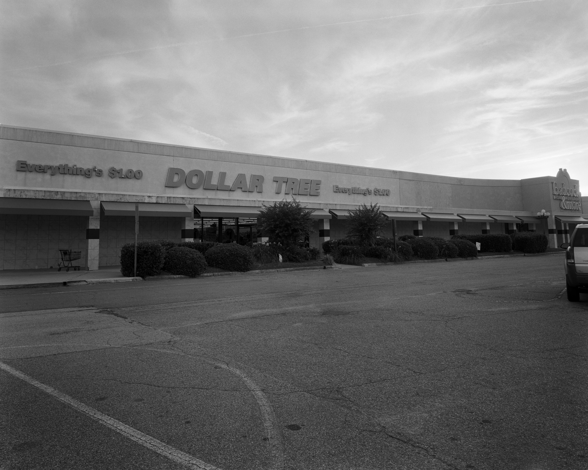 Dollar Tree