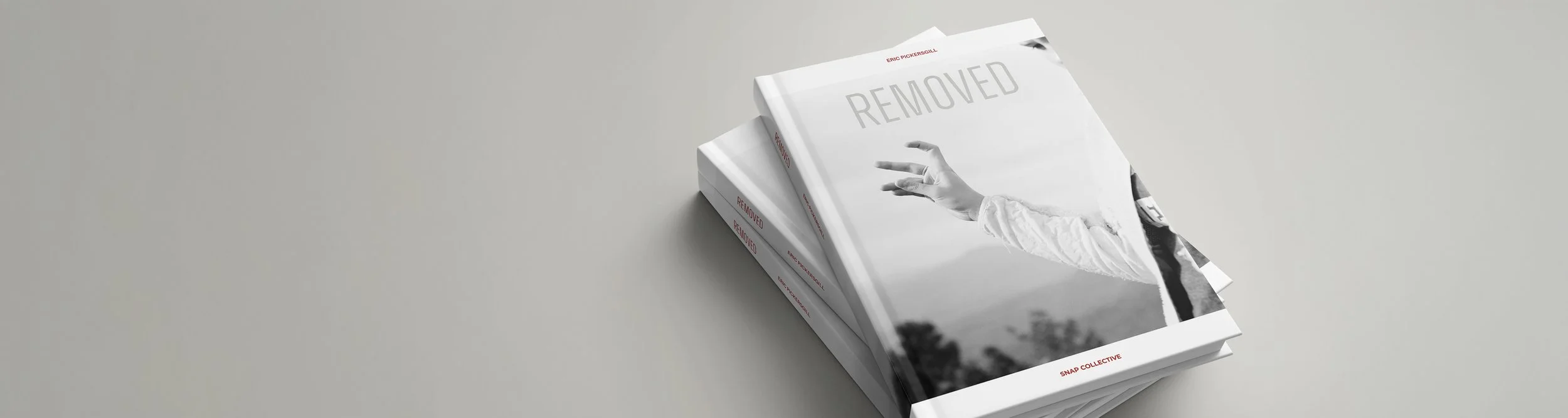 removed-book-linkedin-banner copy.jpg