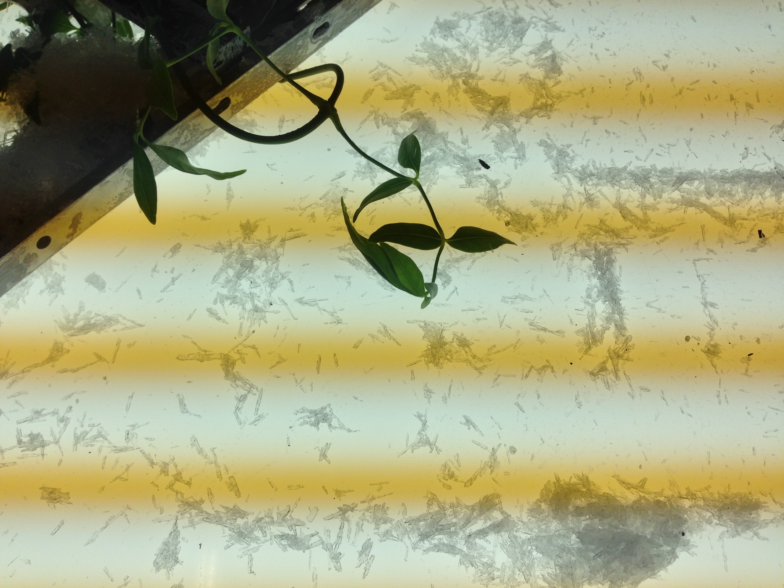 Plugged In (Detail)