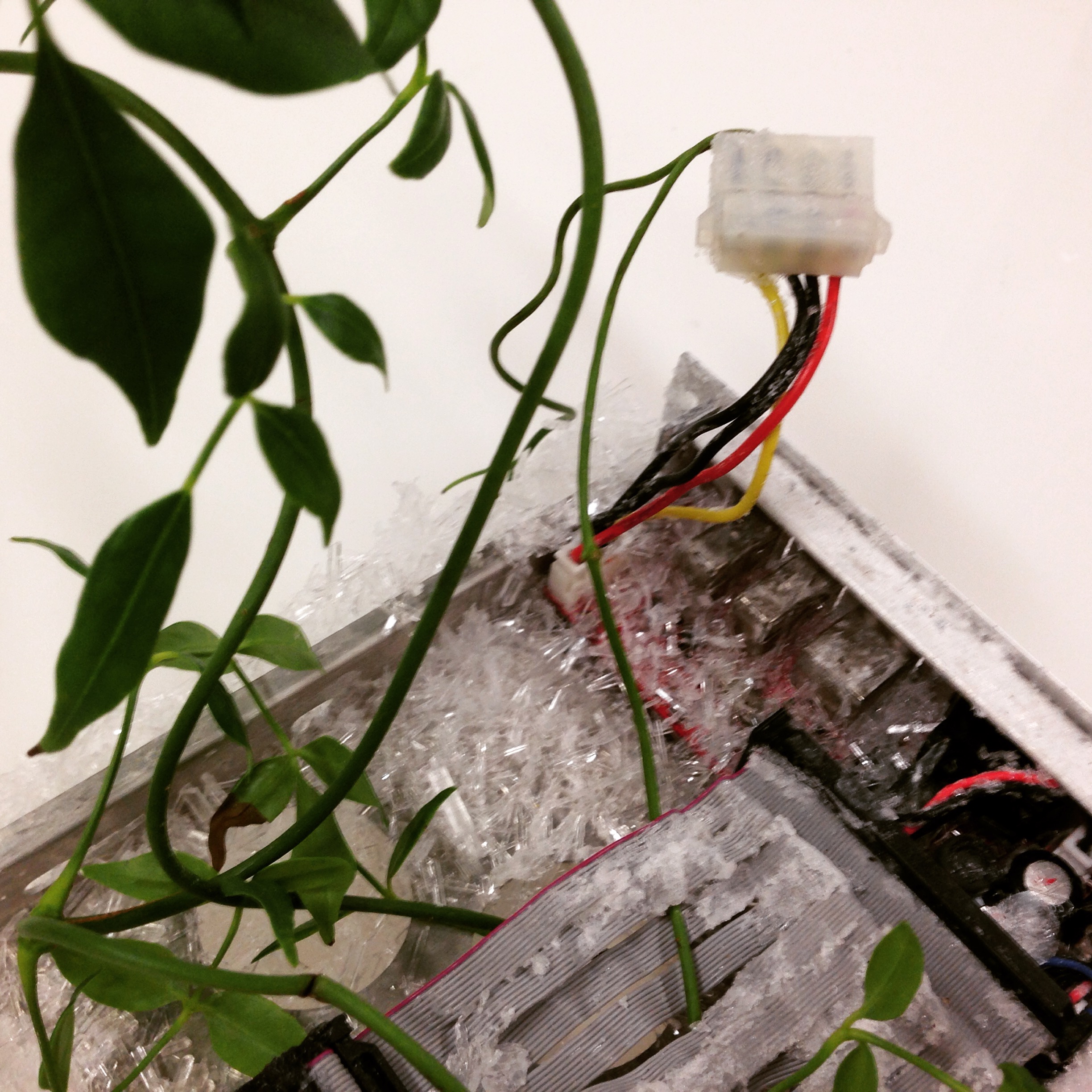 Plugged In (Detail)