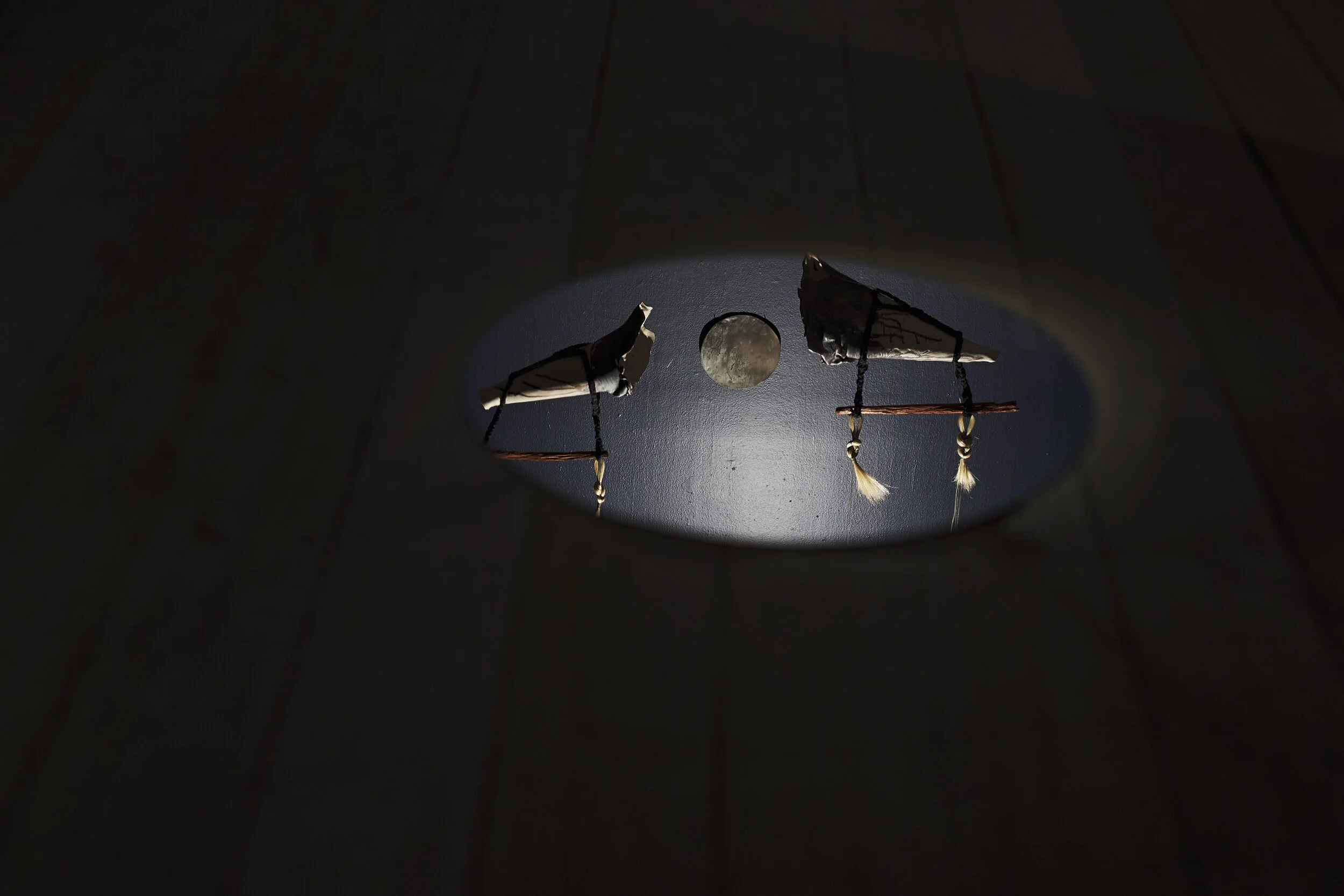 CAT - Re-member_21.jpg