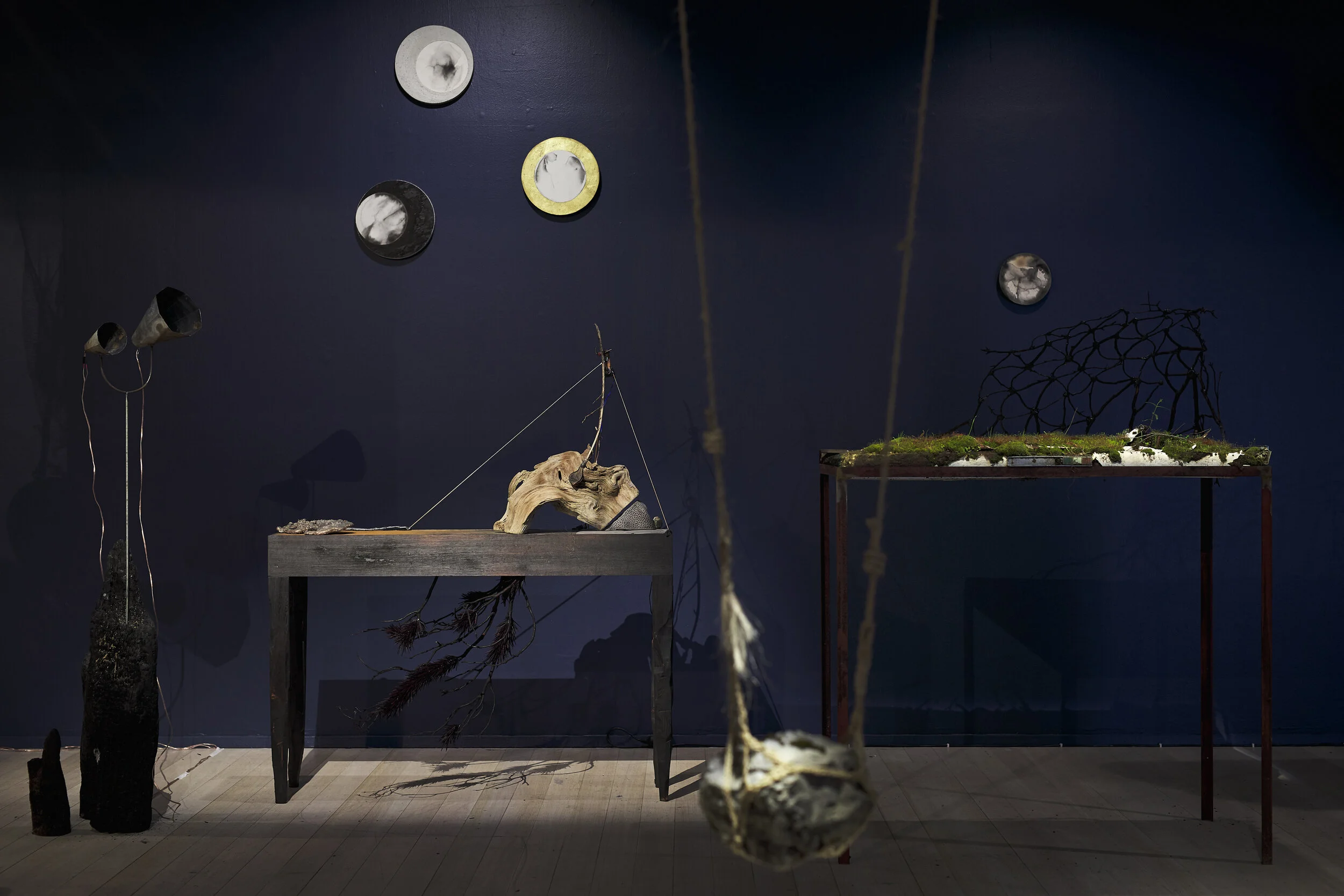 CAT - Re-member_18.jpg