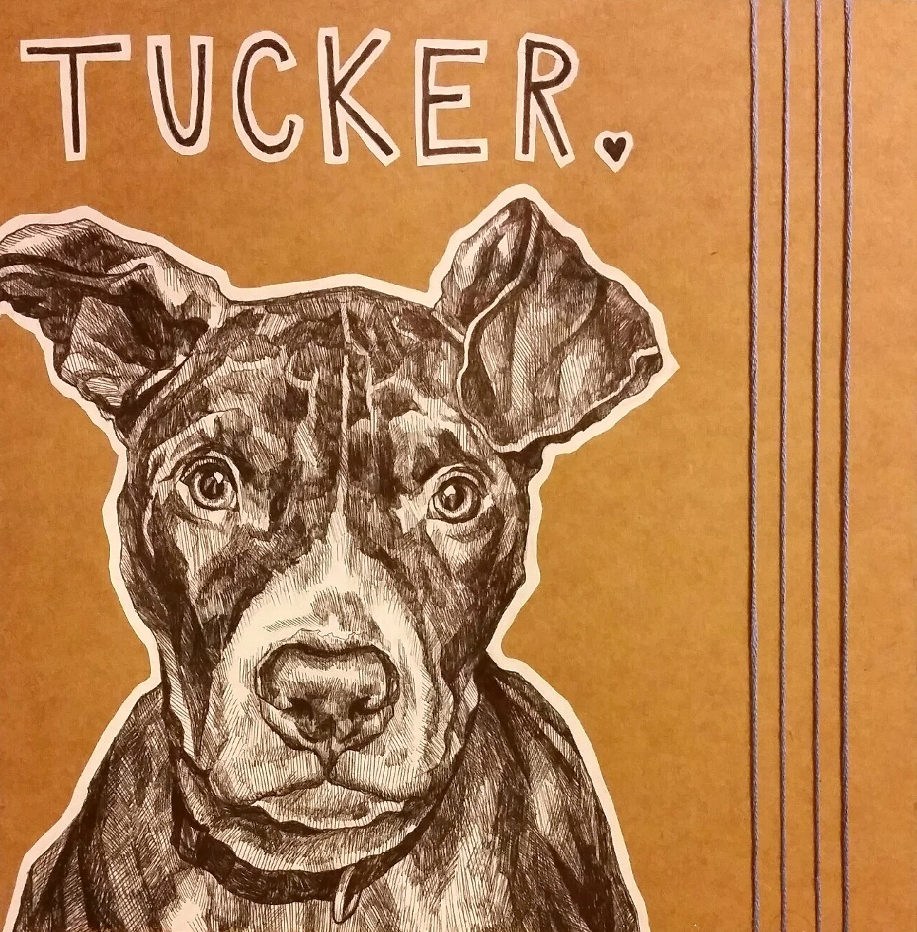 Tucker