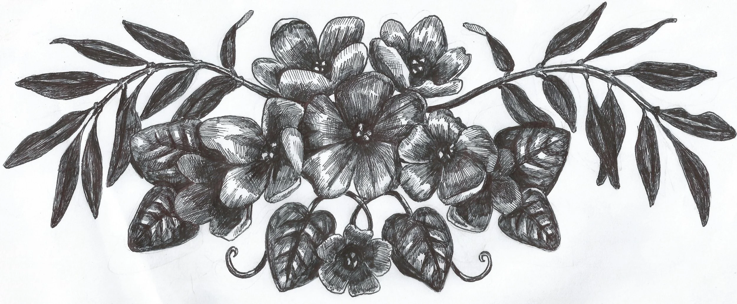 Words of Wisdom Chapter Heading