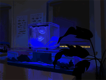 TCN_final_overflow_350w.gif