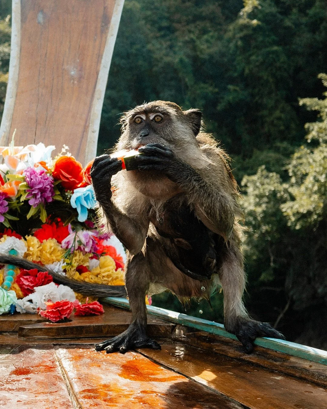 First time I left my laptop at home 🇹🇭✌🏼