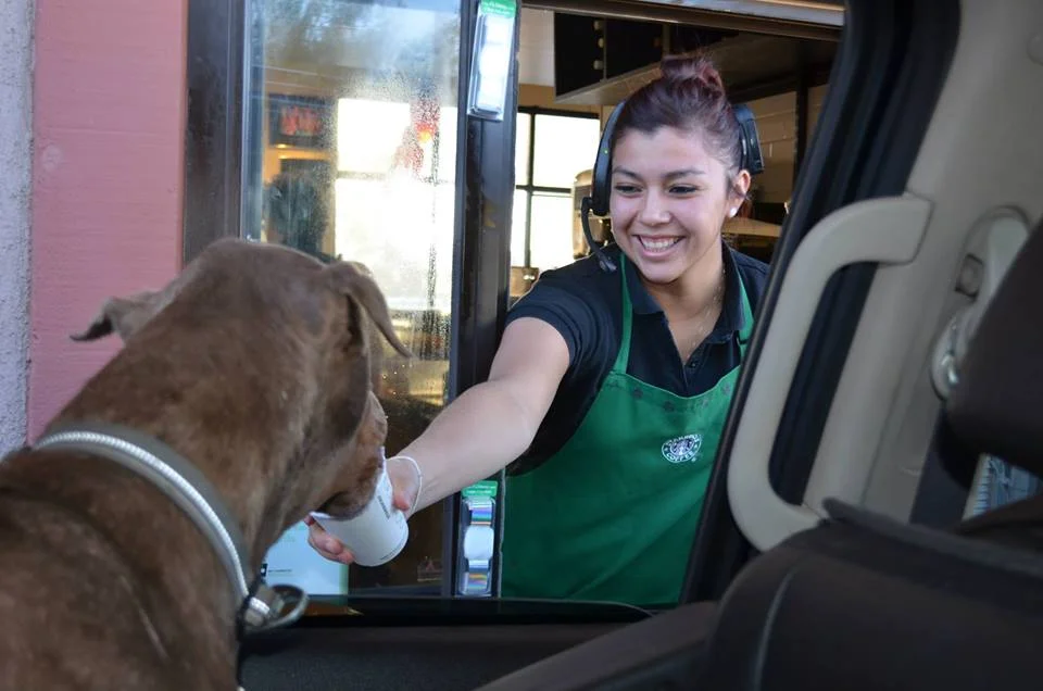 Bowie love the drive thru!