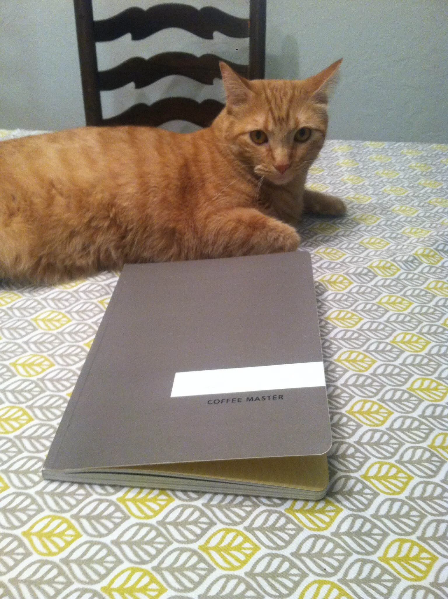 Miss Patty is a Coffee Master!