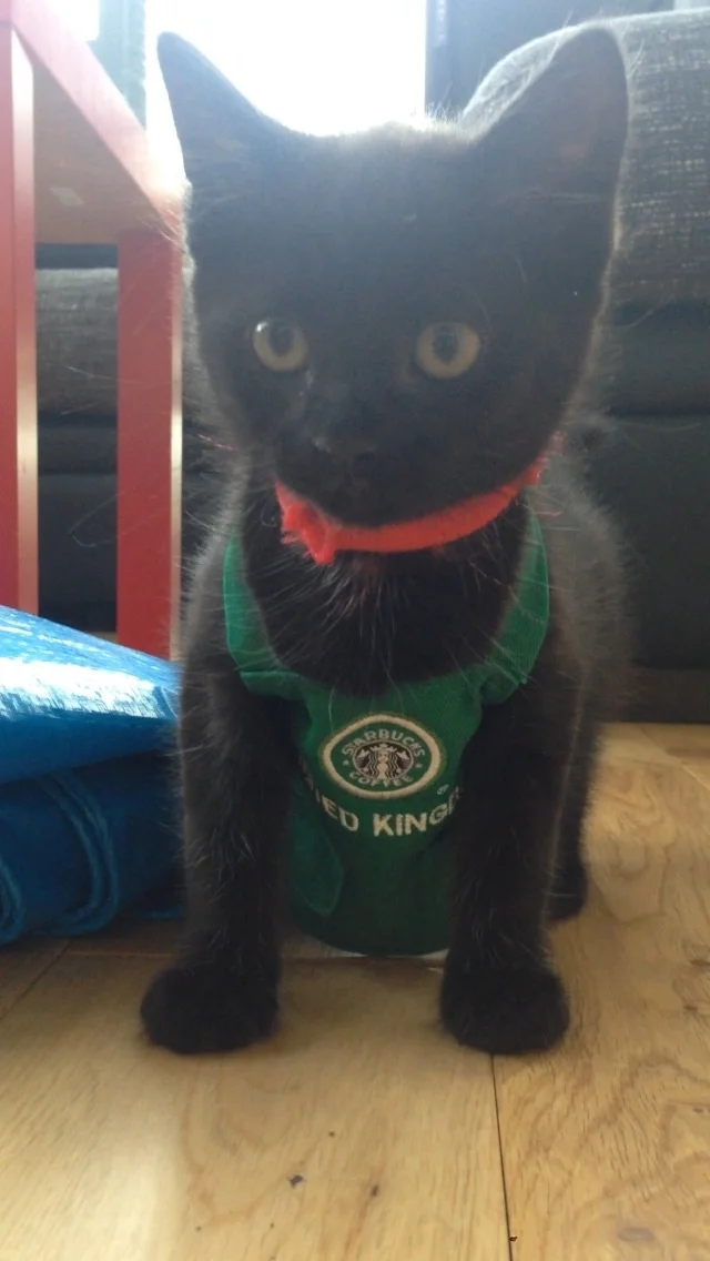 "Just home after my shift."