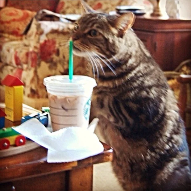 Cody enjoys an iced coffee!