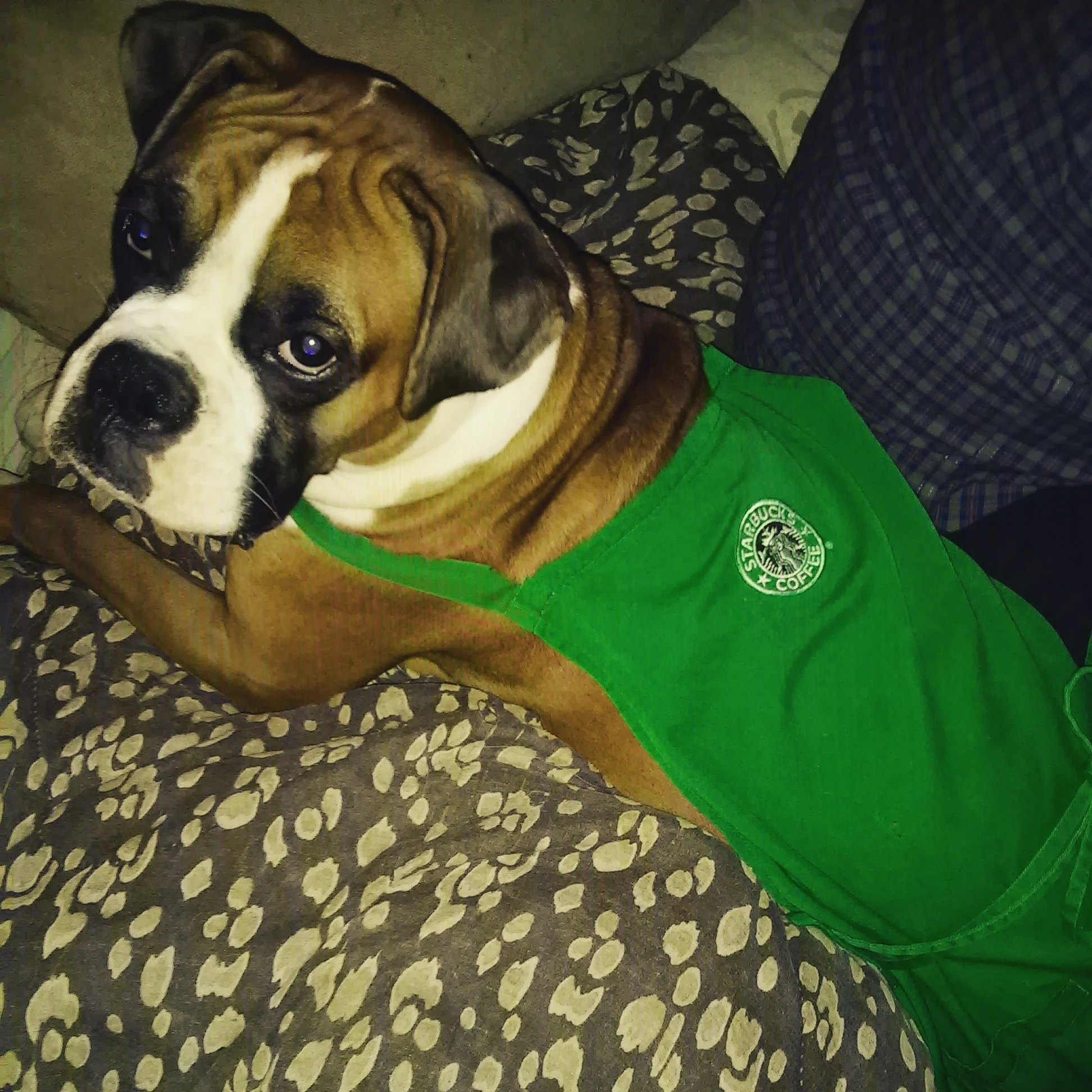 Ruby hopes to be a Starbucks barista soon!