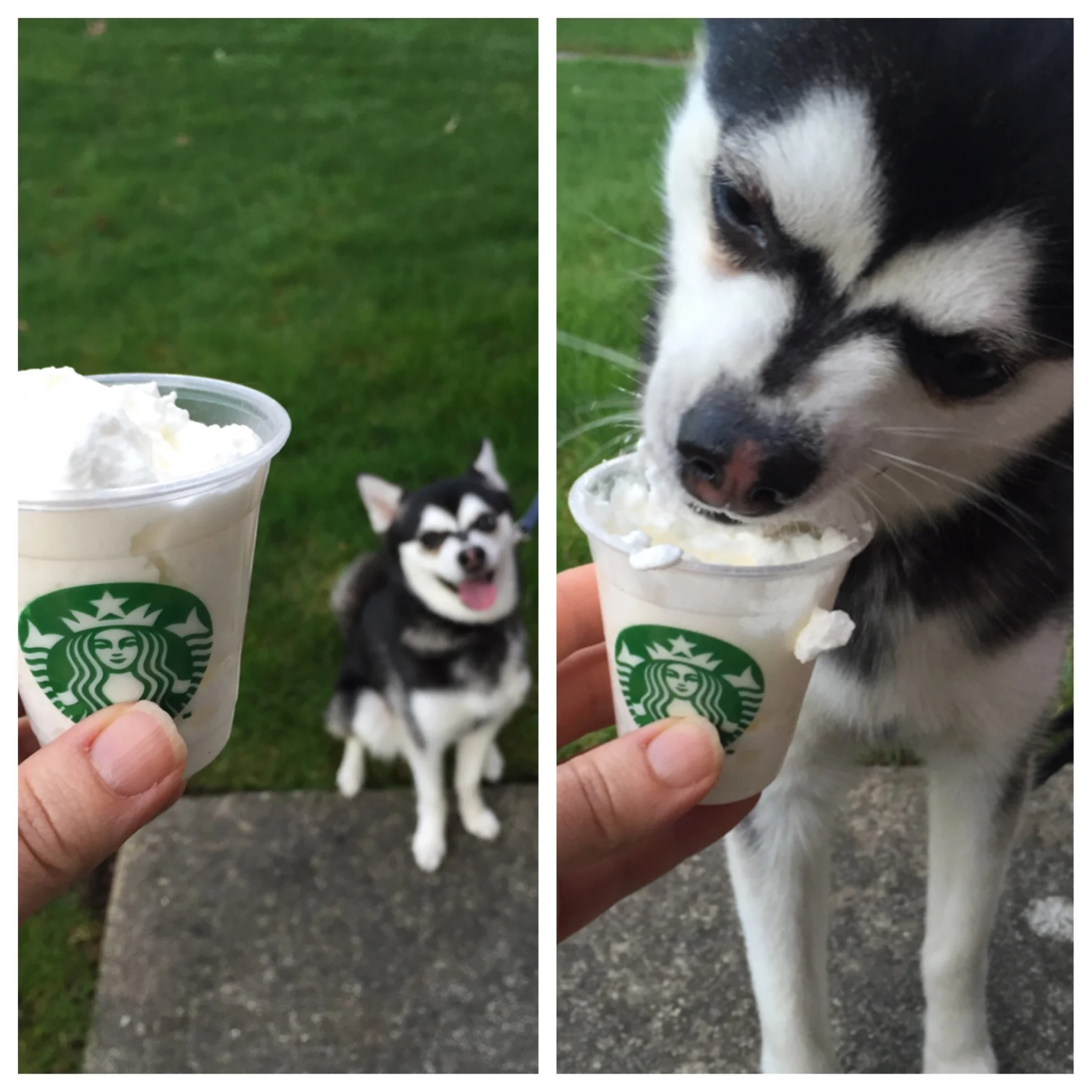 Hercules Knows What's Good!