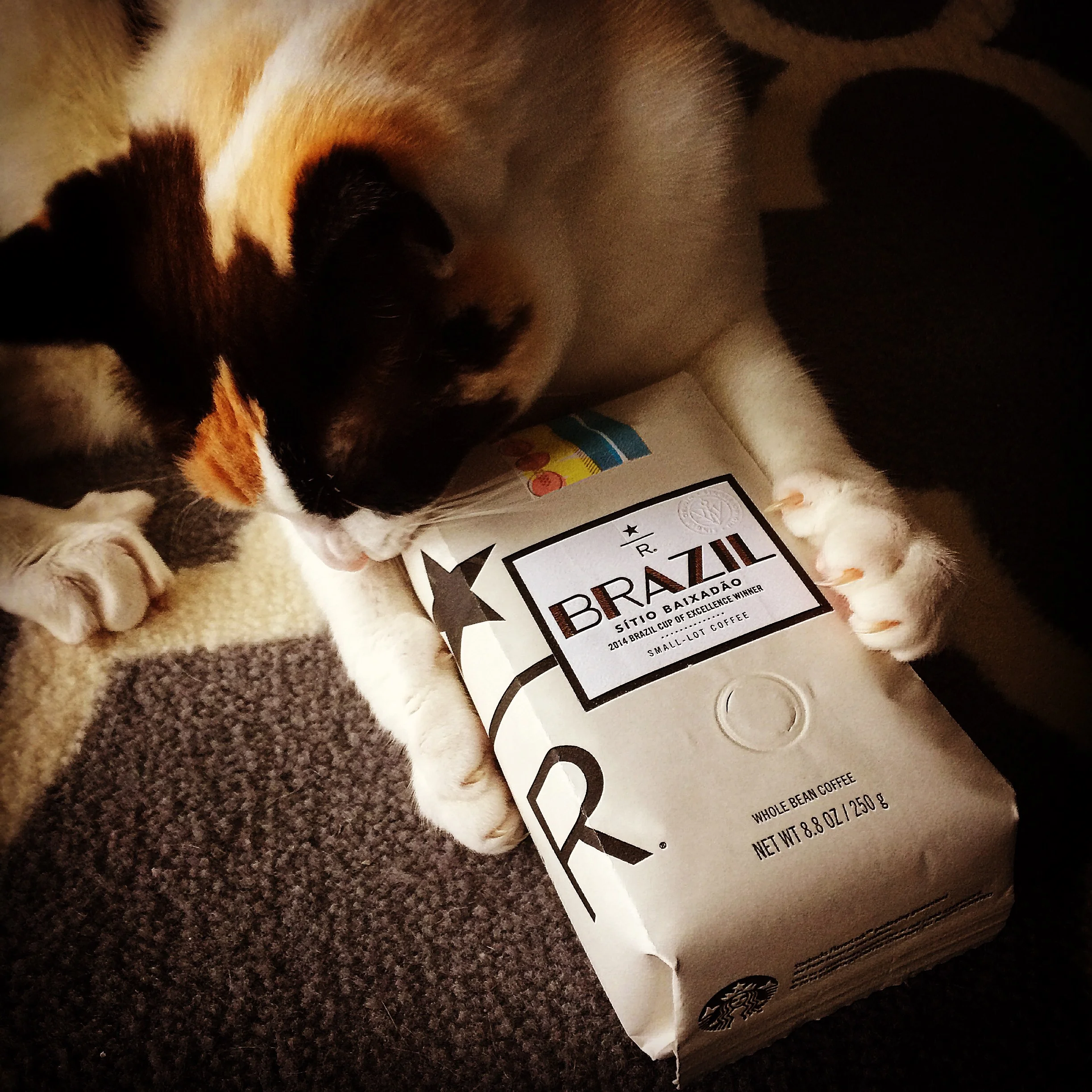 Pandora loves it when her Roastery subscription coffee arrives in the mail!