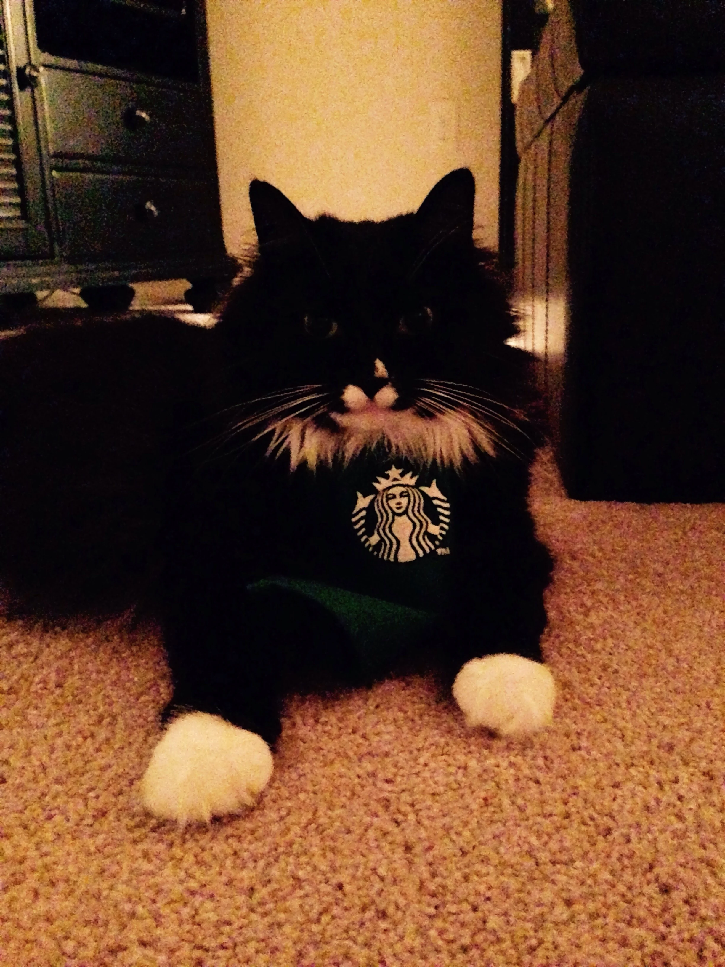 If your drink isn't purrrfect, I'll remake it for you!