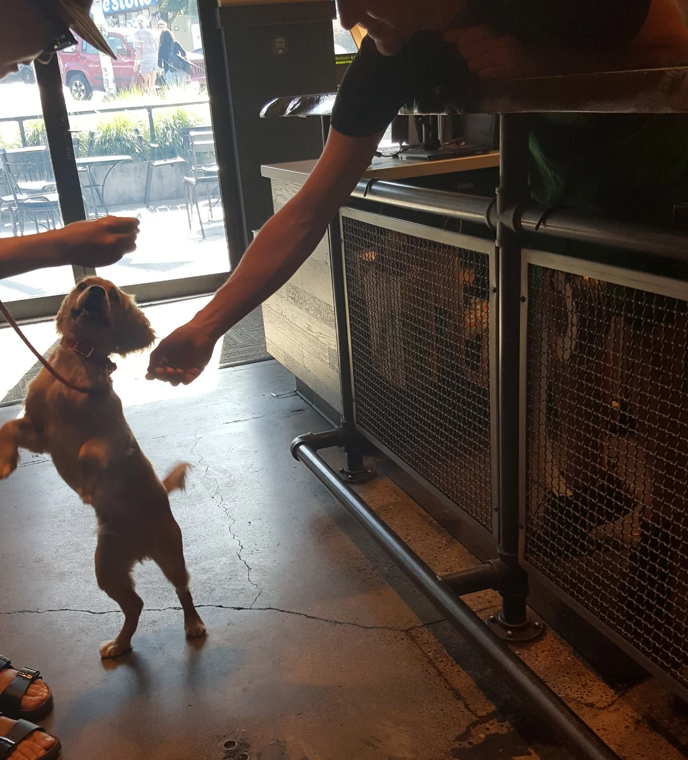 Woody Allen and barista Sean are quickly becoming friends!