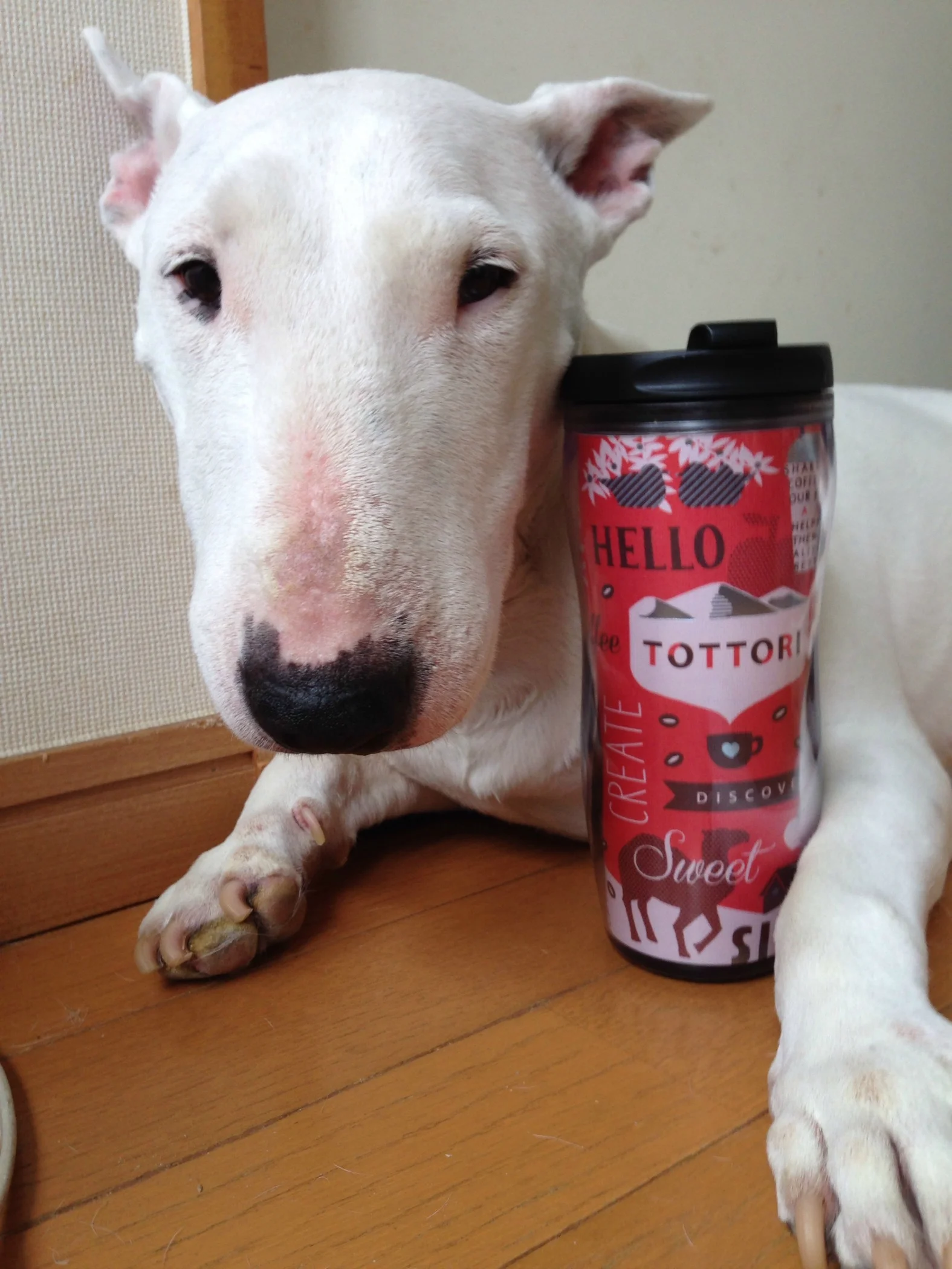 Rachel has a favorite tumbler!