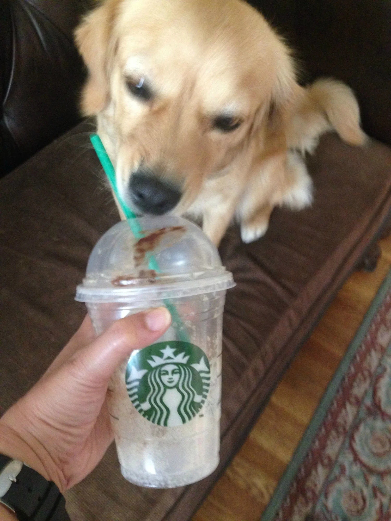 It tasted so good, right up to the last lick!