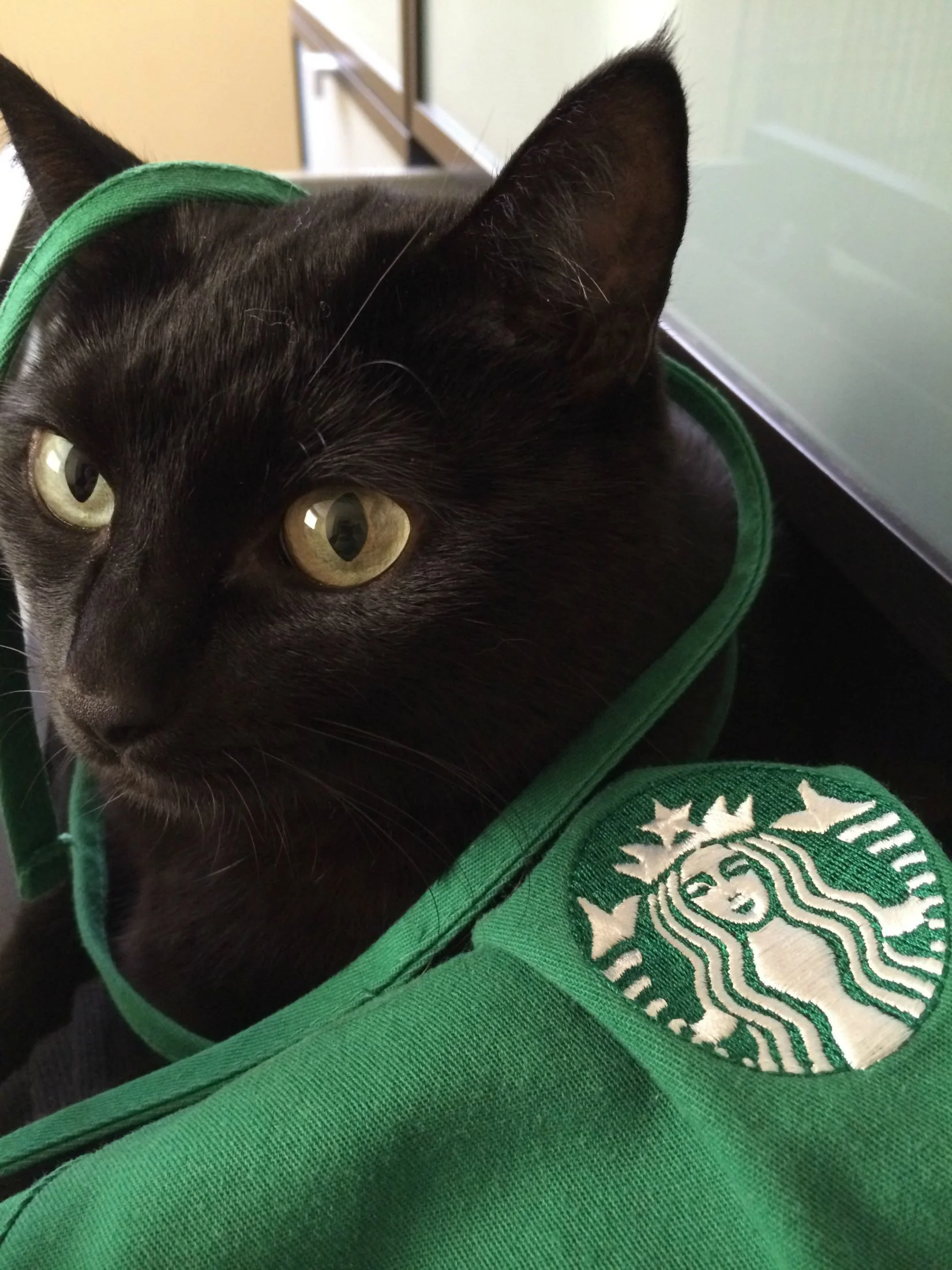 These are a few of my favorite things!