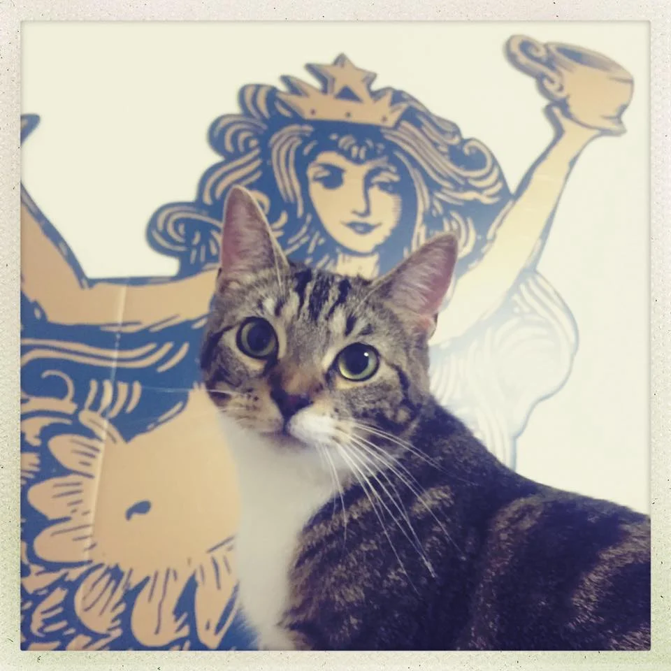 Roscoe's Best Friend!