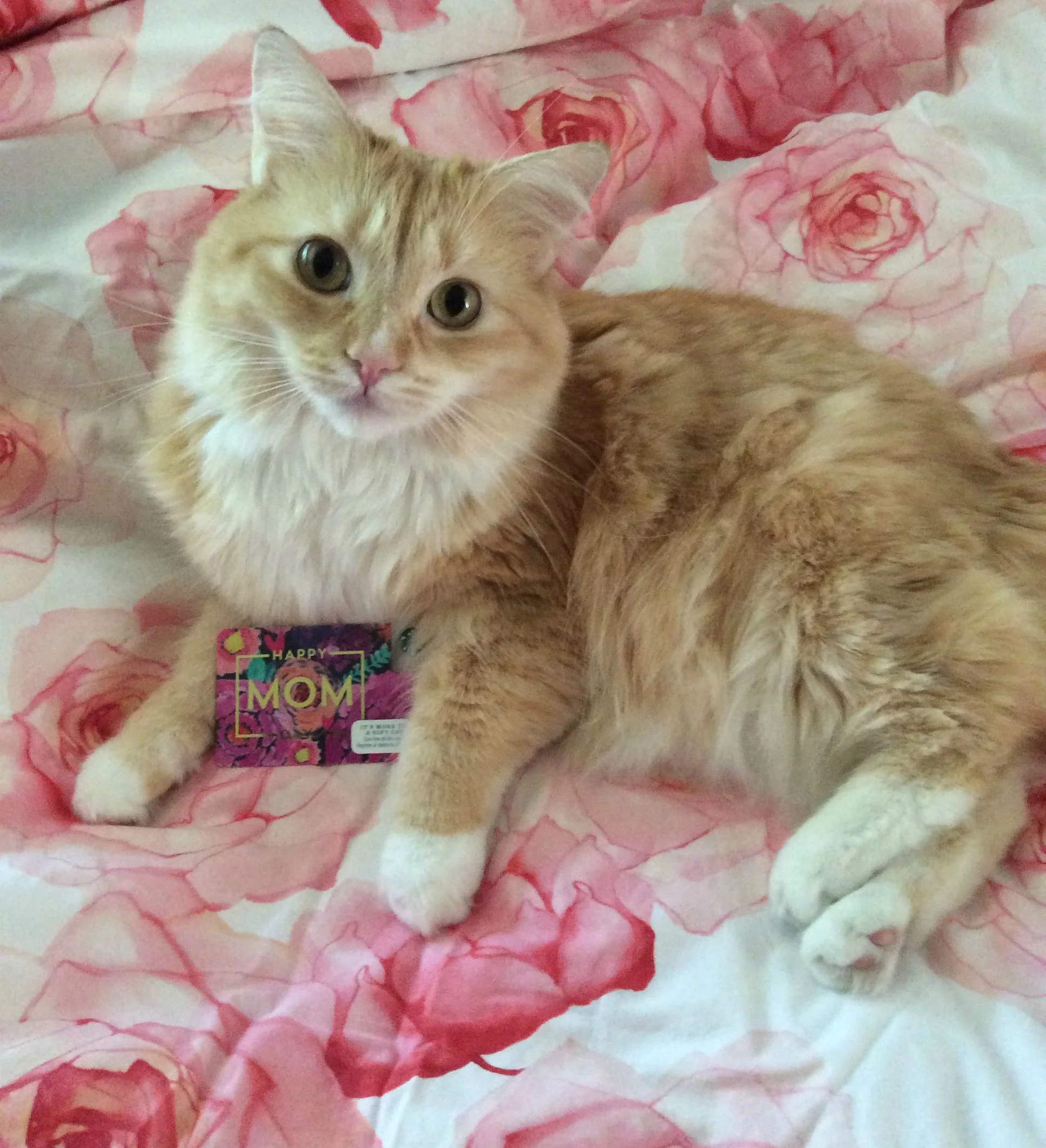 Mom, it's time to reload!