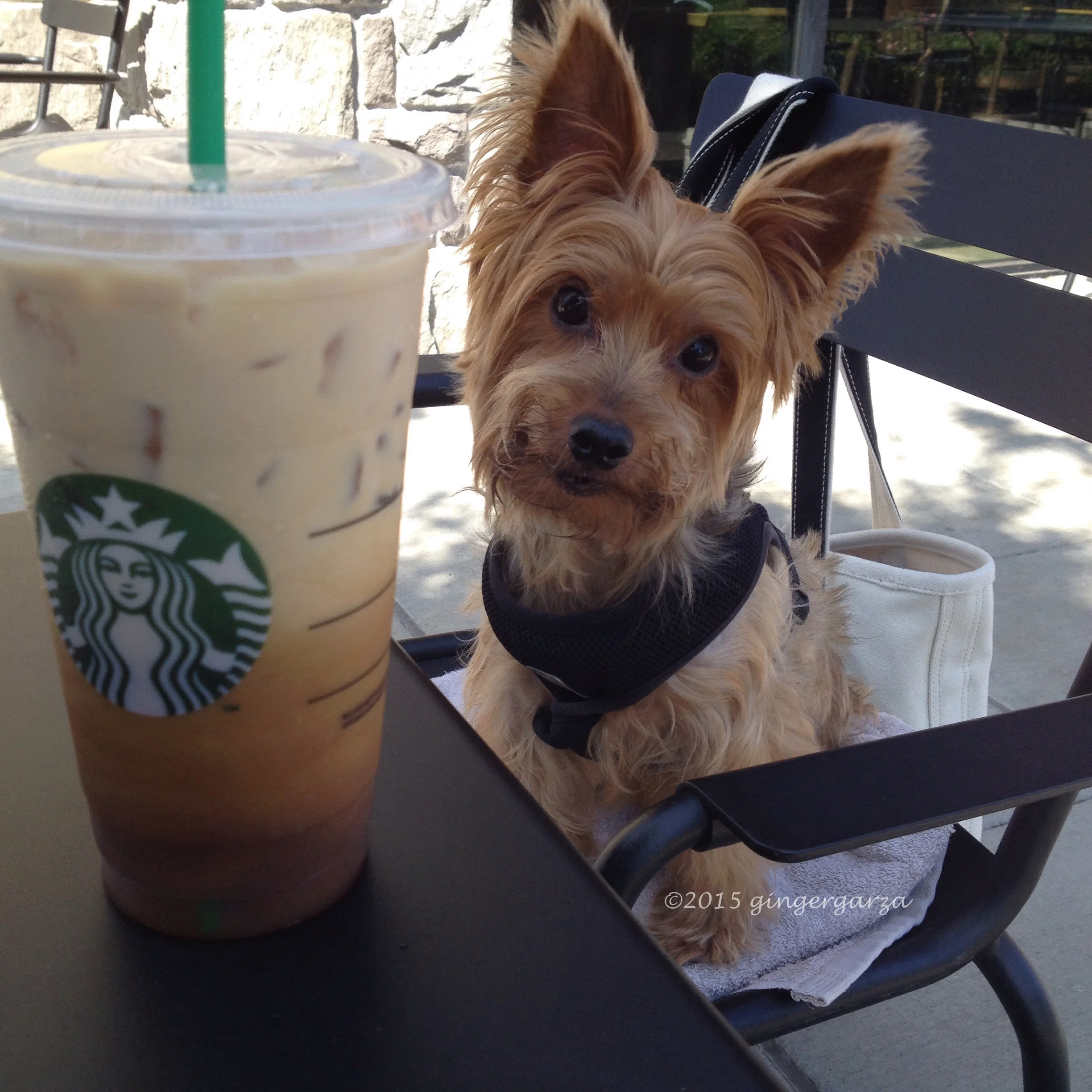 Did You Forget Mine?