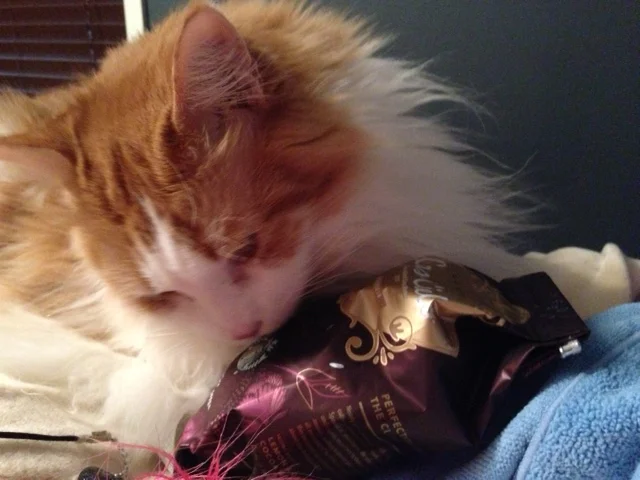 This is Almost Heaven!