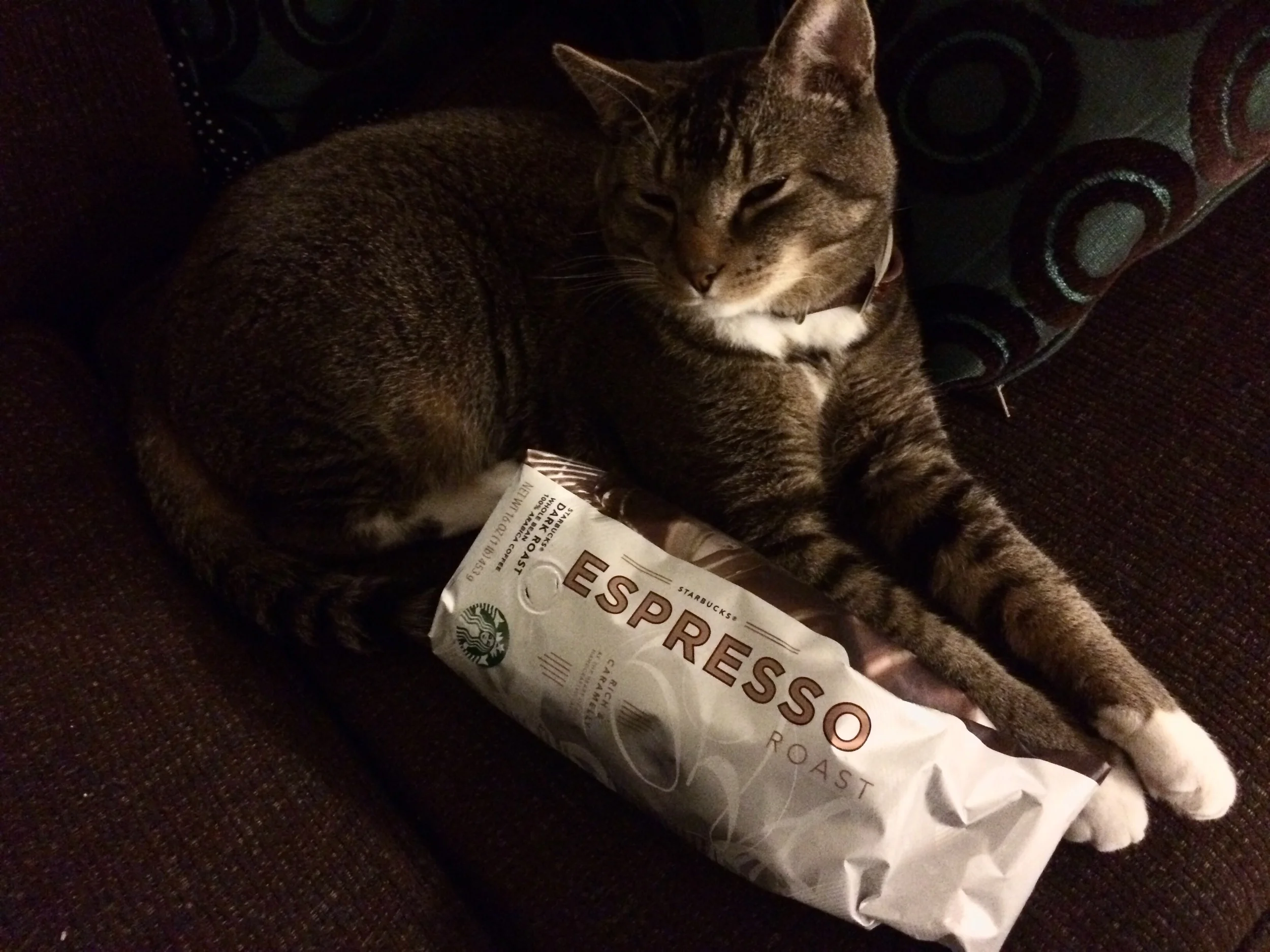 Meeko loves freshly ground Espresso Roast!