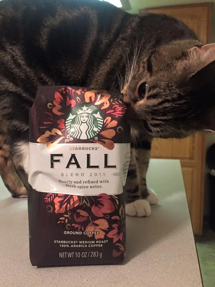 Roscoe wants to try Starbucks Fall Blend.