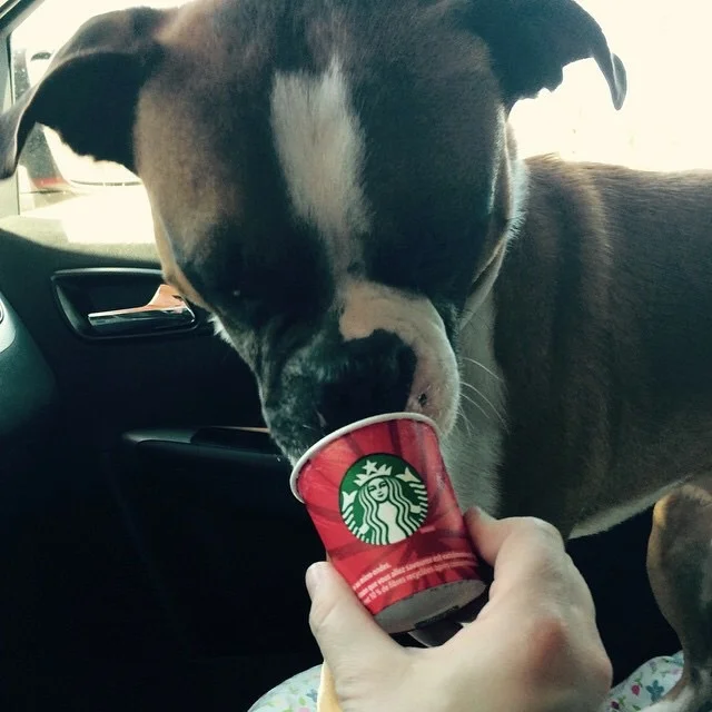 Captain's First Starbucks!