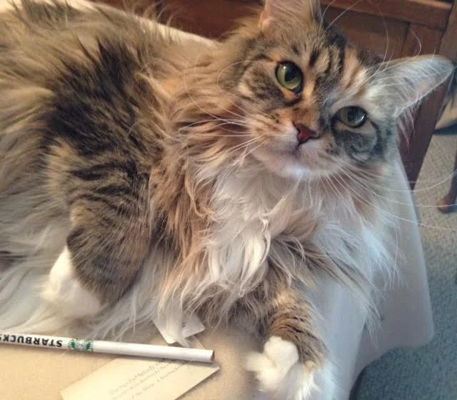 Hey you gotta sharpen this pencil before I can use it!