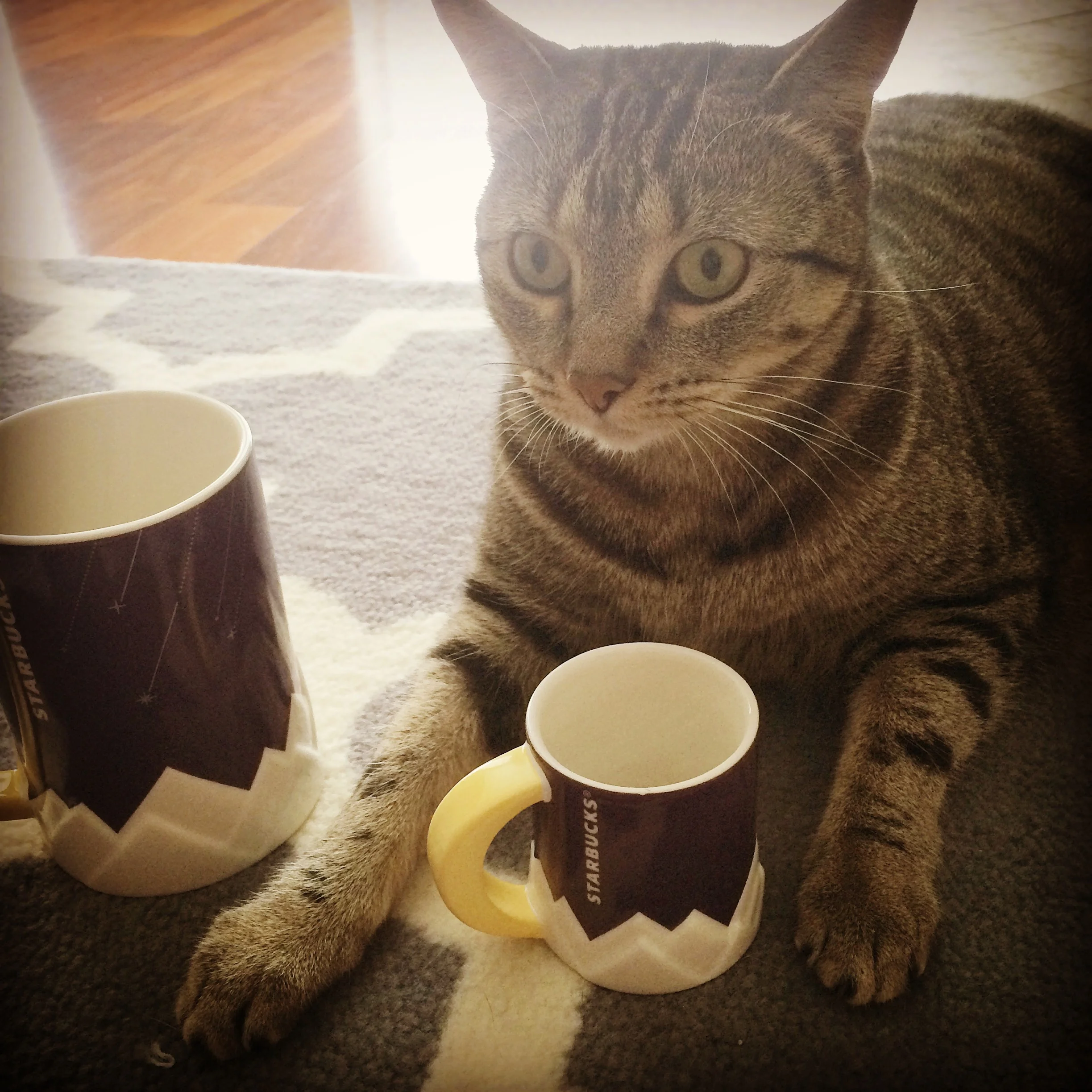 We share our morning coffee in matching cups!