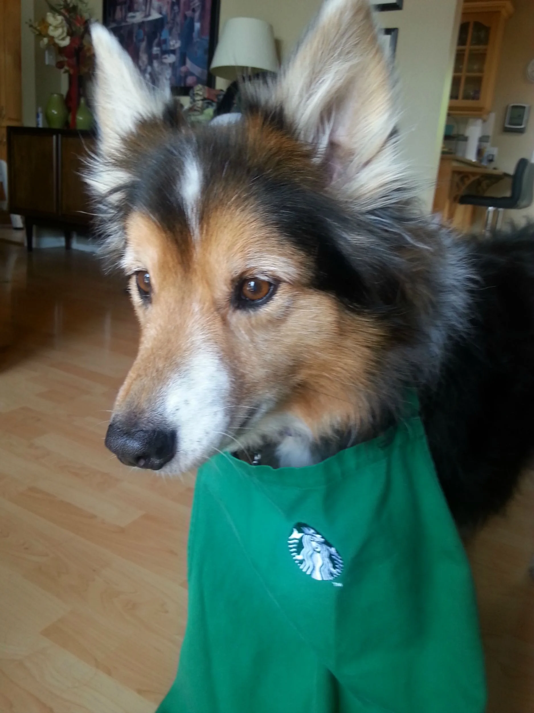 Ready to make some drinks!