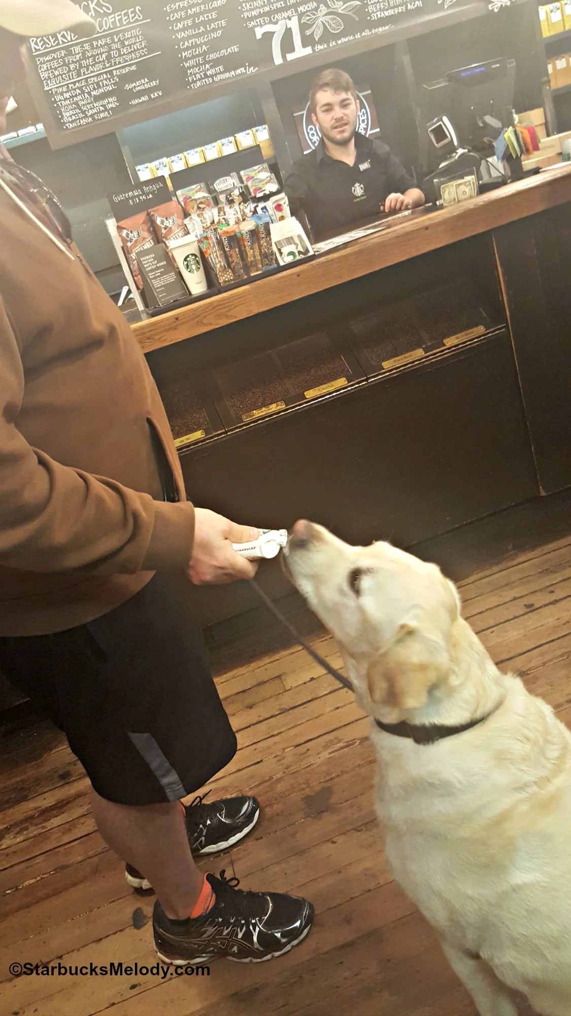 Steeler Gets a Puppaccino at 1912 Pike Place Starbucks!