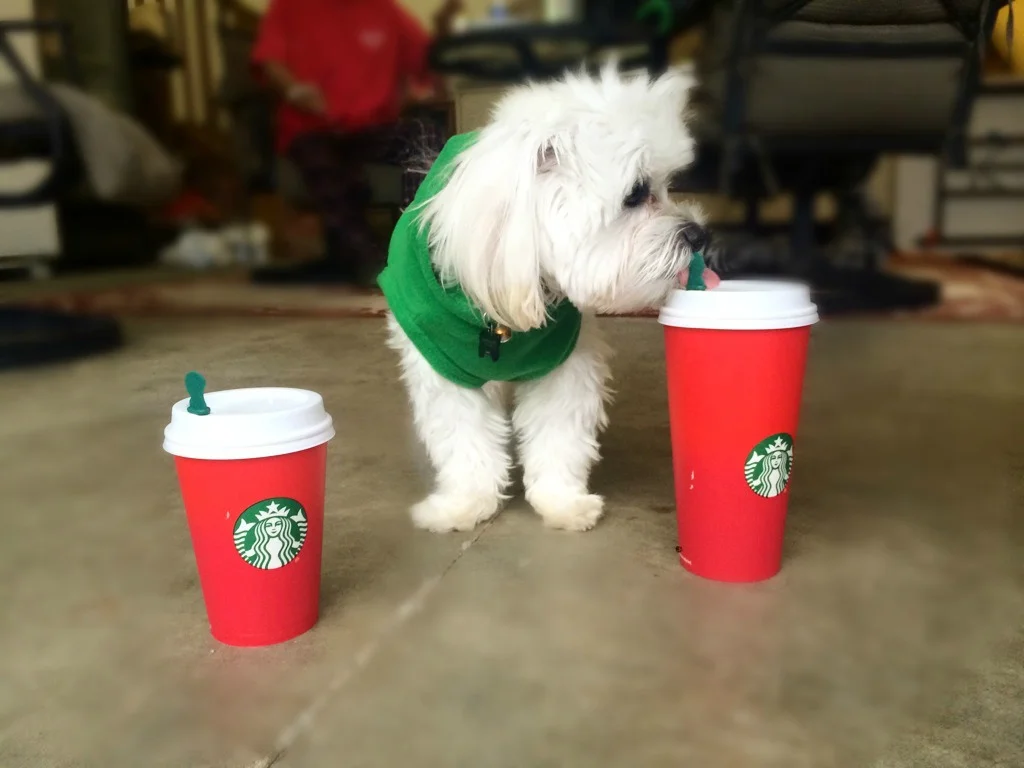 Mommy wouldn't share so I had to sneak a taste!