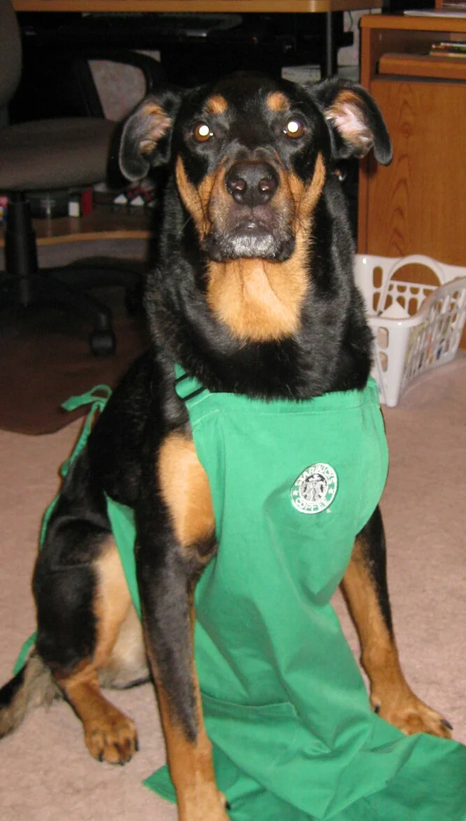 Luxor is the best darn barista in all of WNY!