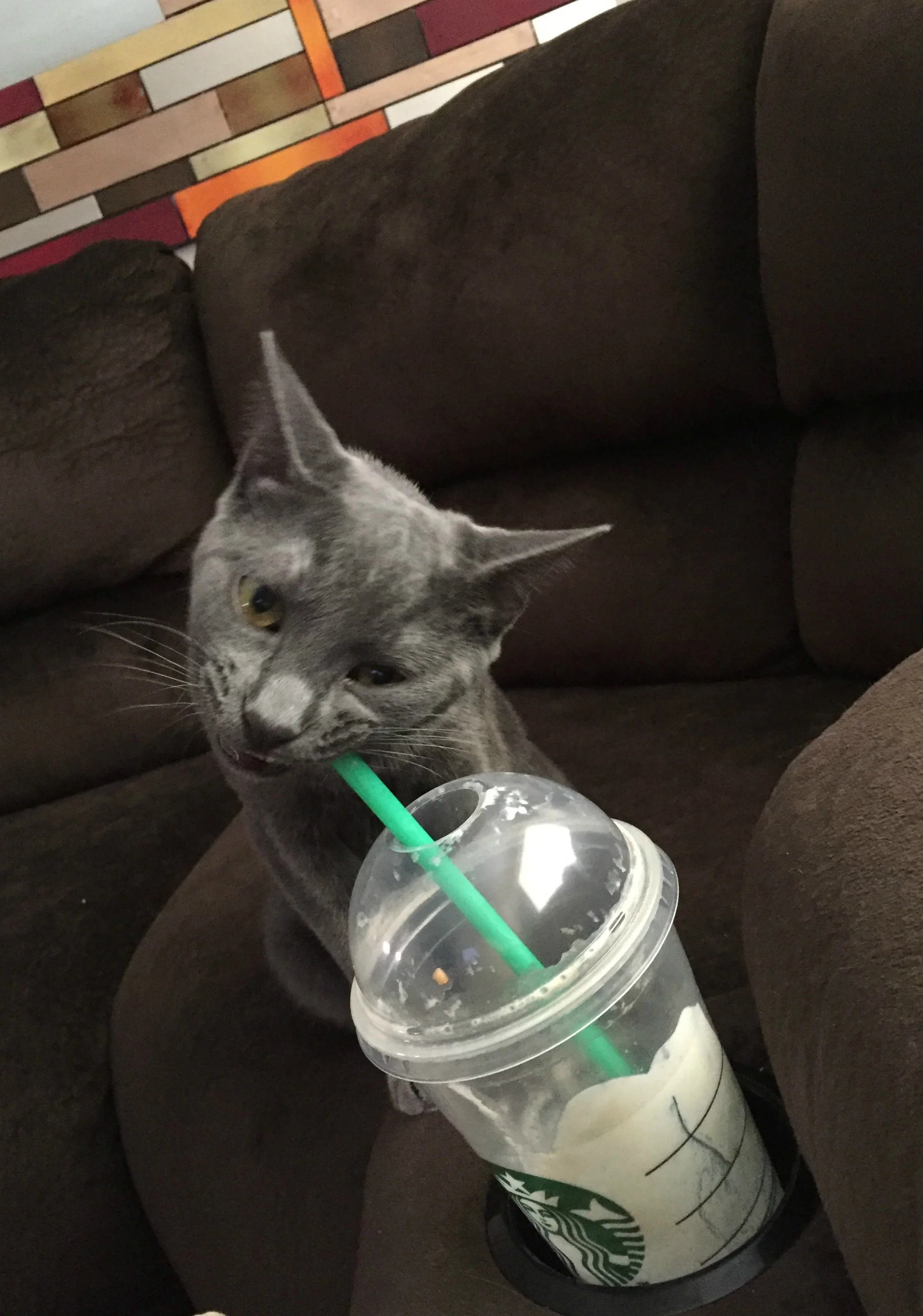 Those Chestnut Praline Frappuccinos are the bomb!