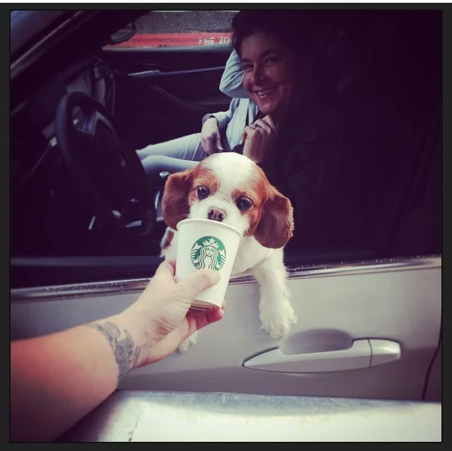 Another Satisfied Customer!