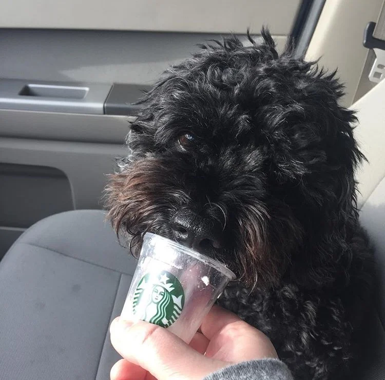 This is so good mom!