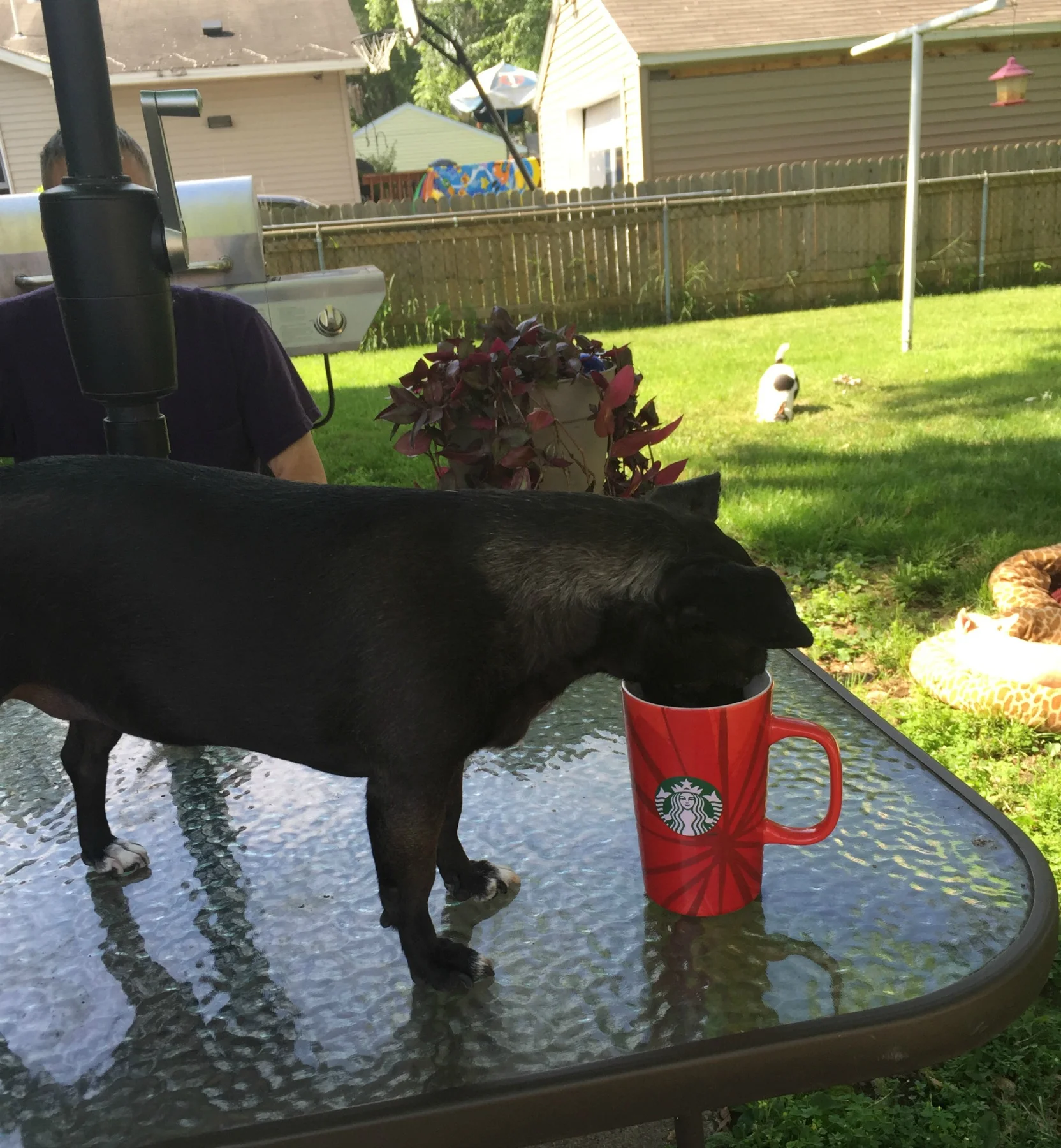 Gotta have my morning coffee!