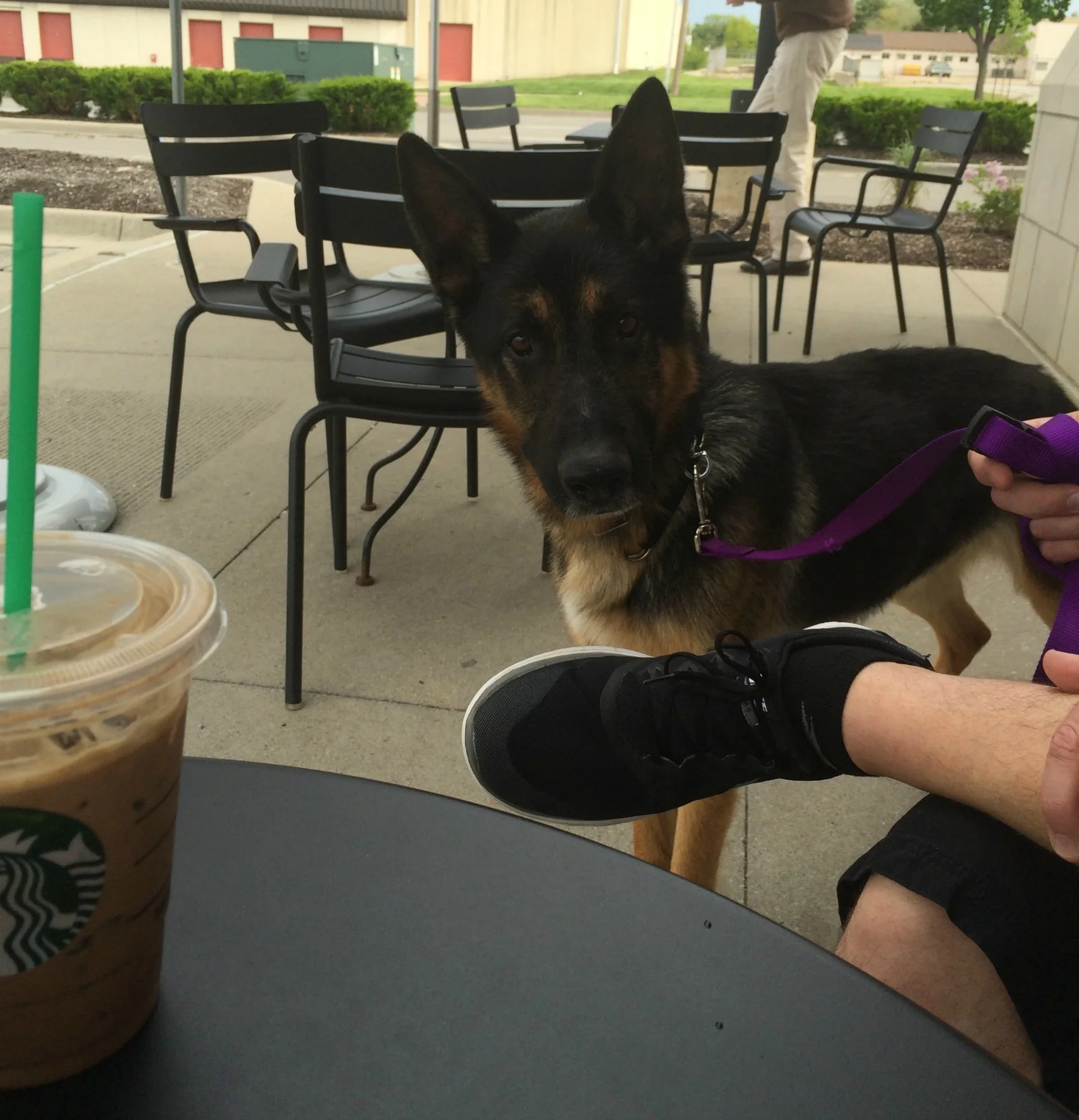Truman drops by Starbucks right after his adoption event!
