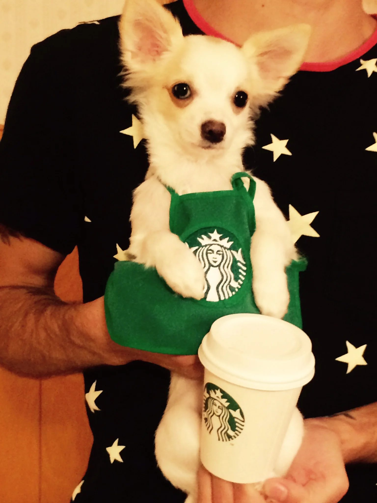 Hudson loves being a puprista!