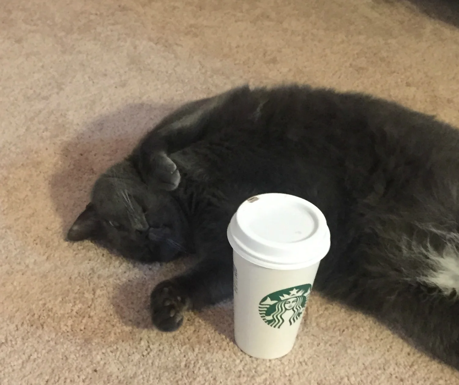 The moment before the first sip!