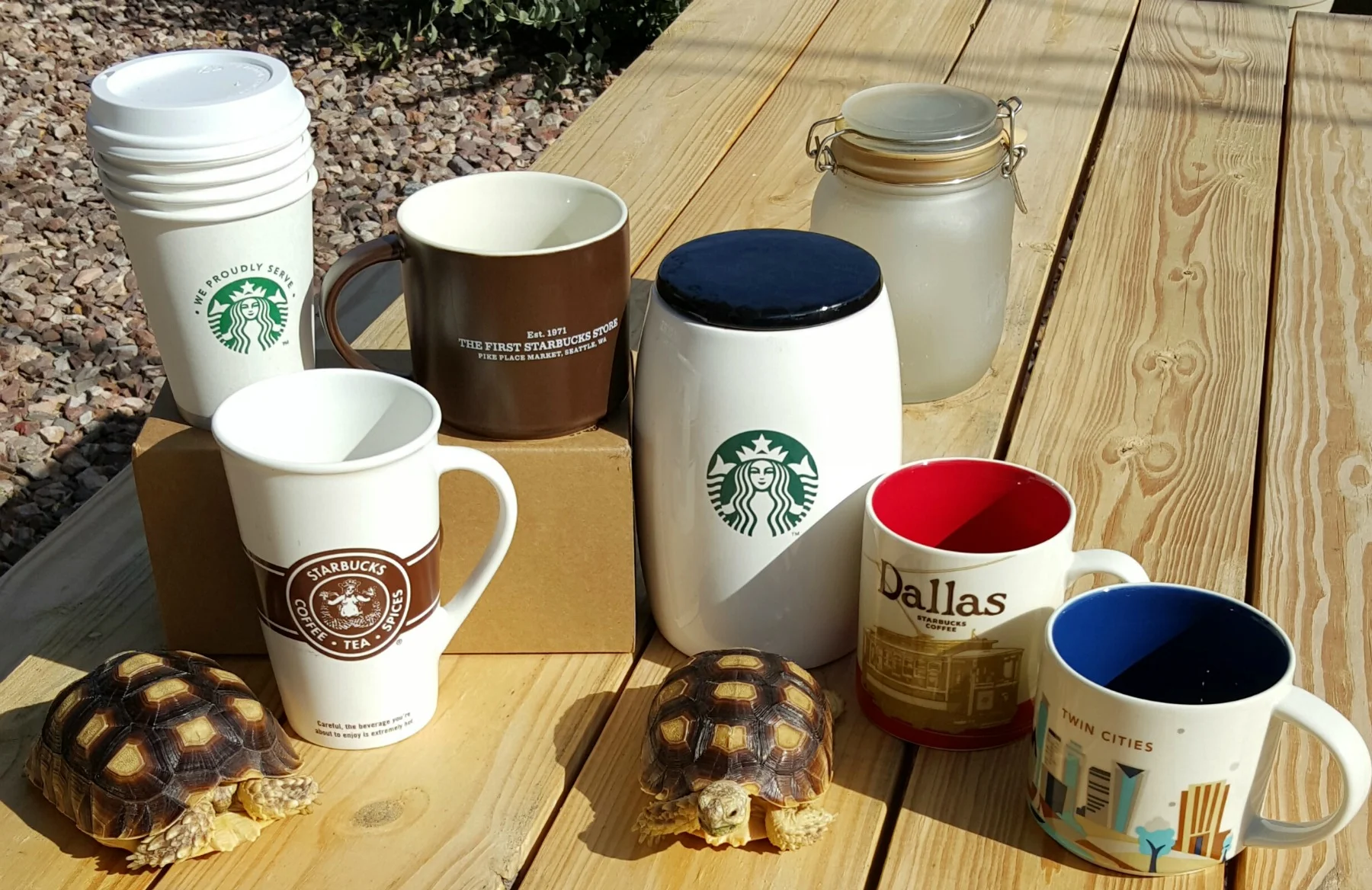 Rambo hasn't had his coffee yet this morning and S'More has only had one!