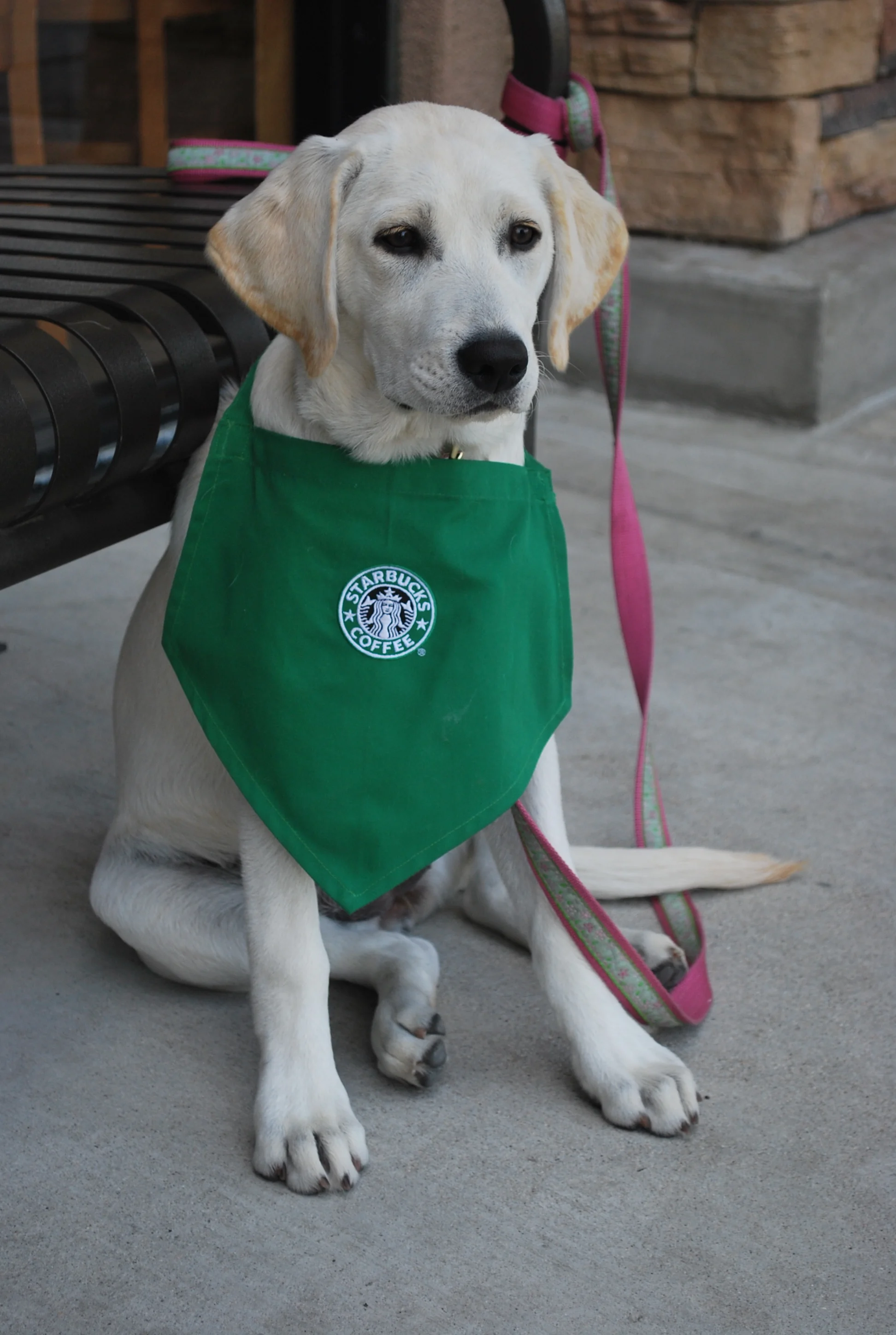 DSC_0176-1-Morgan-in-Moreno-Valley-Starbucks.jpg